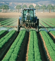 Roundup Lawsuit